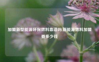 加盟新型能源环保燃料靠谱吗,新能源燃料加盟要多少钱