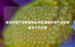 建信环保产业股票基金净值,建信环保产业股票基金今日估值