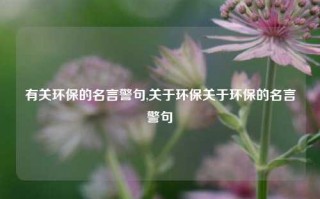 有关环保的名言警句,关于环保关于环保的名言警句