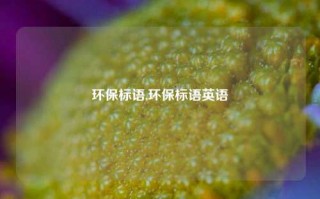 环保标语,环保标语英语