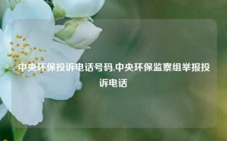 中央环保投诉电话号码,中央环保监察组举报投诉电话