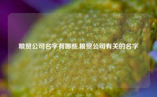 粮贸公司名字有哪些,粮贸公司有关的名字