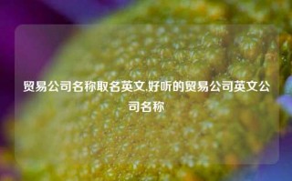 贸易公司名称取名英文,好听的贸易公司英文公司名称