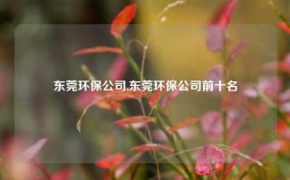 东莞环保公司,东莞环保公司前十名