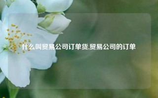 什么叫贸易公司订单货,贸易公司的订单