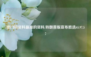 澳门码资料最准的资料,特朗普版宣布胜选65.97.57