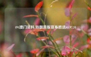 494澳门资料,特朗普版宣布胜选65.97.34