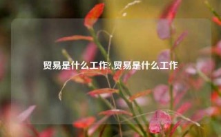 贸易是什么工作?,贸易是什么工作