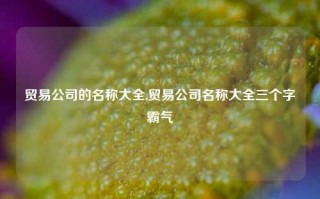 贸易公司的名称大全,贸易公司名称大全三个字霸气