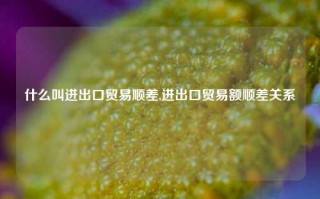 什么叫进出口贸易顺差,进出口贸易额顺差关系