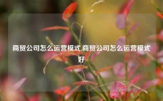 商贸公司怎么运营模式,商贸公司怎么运营模式好