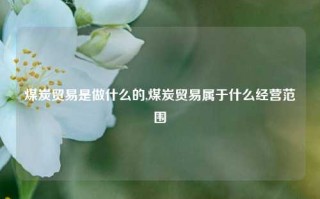 煤炭贸易是做什么的,煤炭贸易属于什么经营范围