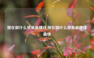 现在做什么贸易最赚钱,现在做什么贸易最赚钱最快