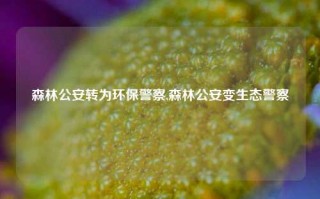 森林公安转为环保警察,森林公安变生态警察