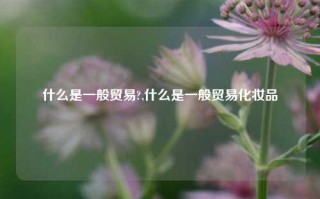 什么是一般贸易?,什么是一般贸易化妆品