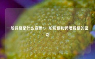 一般贸易是什么意思?,一般贸易和跨境贸易的区别