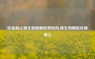 环保局让烧生物质颗粒燃料吗,烧生物颗粒环保查么