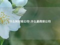 什么叫贸易公司?,什么是商贸公司