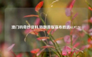 澳门码奇妙资料,特朗普版宣布胜选65.97.24