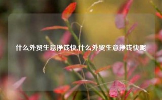 什么外贸生意挣钱快,什么外贸生意挣钱快呢