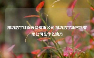 潍坊浩宇环保设备有限公司,潍坊浩宇新材料有限公司在什么地方