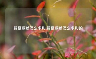 贸易顺差怎么求和,贸易顺差怎么求和的