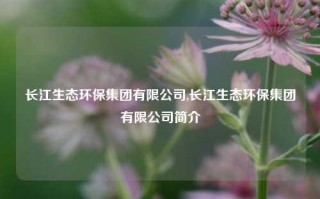 长江生态环保集团有限公司,长江生态环保集团有限公司简介