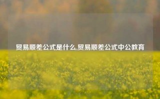 贸易顺差公式是什么,贸易顺差公式中公教育