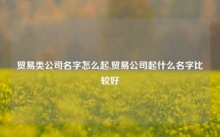 贸易类公司名字怎么起,贸易公司起什么名字比较好