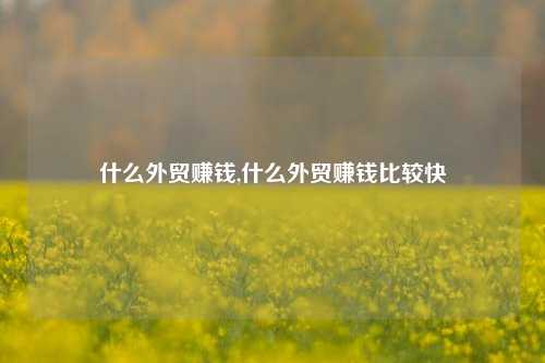 什么外贸赚钱,什么外贸赚钱比较快-第1张图片-北京达源环保科技有限公司