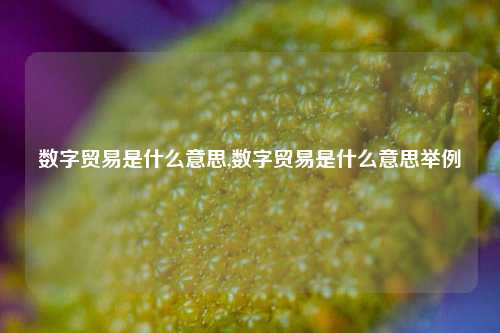 数字贸易是什么意思,数字贸易是什么意思举例-第1张图片-北京达源环保科技有限公司