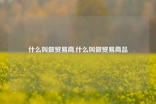 什么叫做贸易商,什么叫做贸易商品-第1张图片-北京达源环保科技有限公司