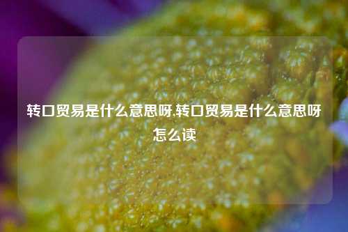 转口贸易是什么意思呀,转口贸易是什么意思呀怎么读-第1张图片-北京达源环保科技有限公司