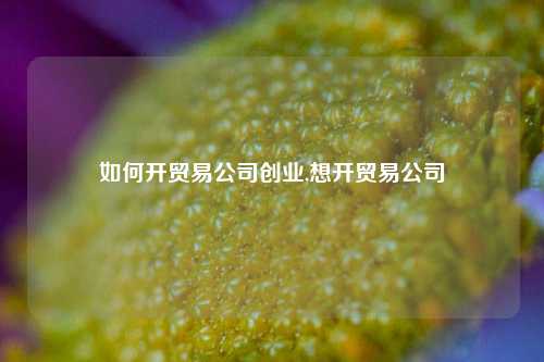 如何开贸易公司创业,想开贸易公司-第1张图片-北京达源环保科技有限公司