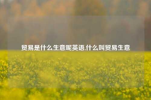 贸易是什么生意呢英语,什么叫贸易生意-第1张图片-北京达源环保科技有限公司