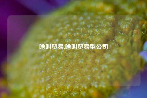 啥叫贸易,啥叫贸易型公司-第1张图片-北京达源环保科技有限公司