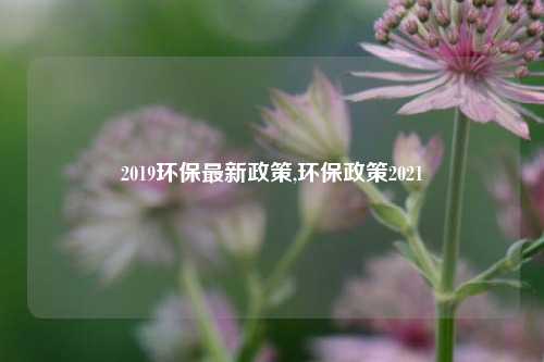 2019环保最新政策,环保政策2021-第1张图片-北京达源环保科技有限公司