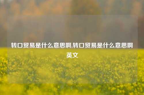 转口贸易是什么意思啊,转口贸易是什么意思啊英文-第1张图片-北京达源环保科技有限公司