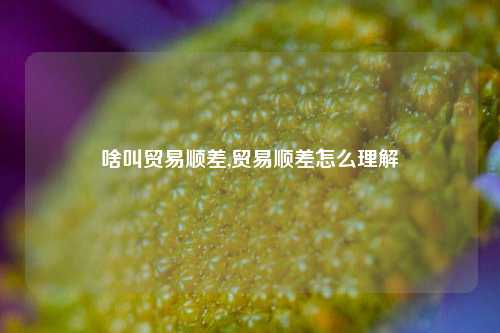 啥叫贸易顺差,贸易顺差怎么理解-第1张图片-北京达源环保科技有限公司