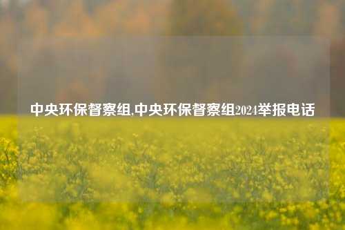 中央环保督察组,中央环保督察组2024举报电话-第1张图片-北京达源环保科技有限公司